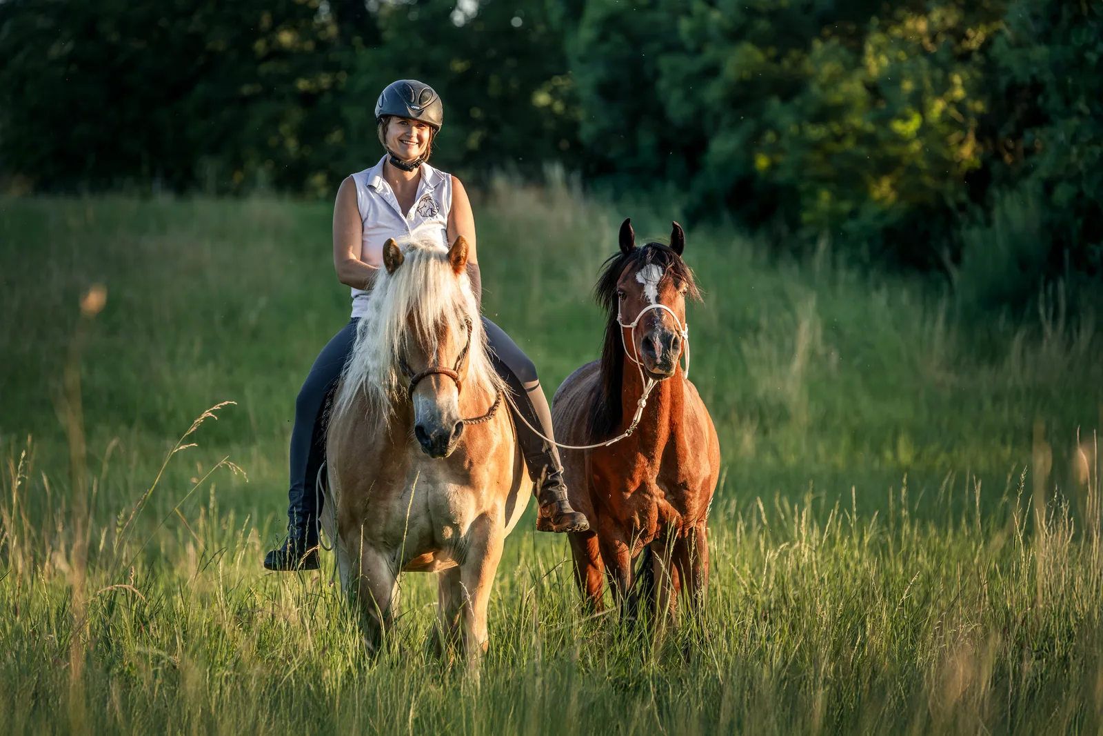 "Offener Kurstag - Seitengänge, Longe oder Reiten, Du entscheidest!"