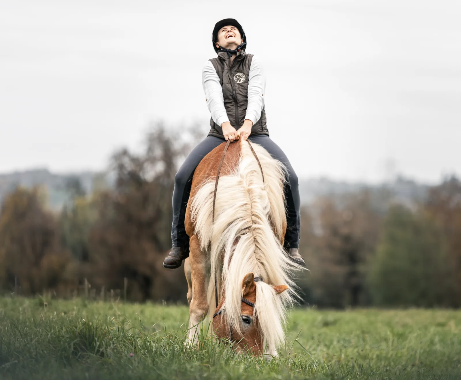Spaß-Trail mit Working Equitation