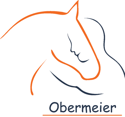 Andraz Obermeier - Basic Art of Riding